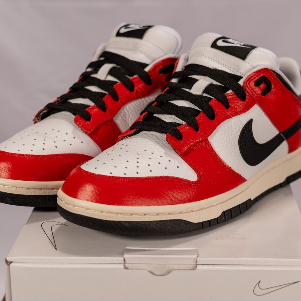 Nike Dunks- Custom - Brand New